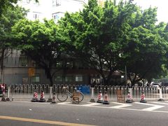 -广州市第一人民医院(院本部)