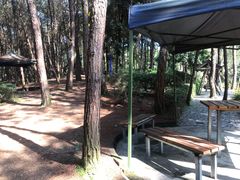 -铁山坪森林公园