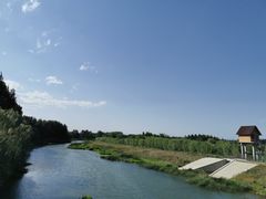-东郊湿地公园
