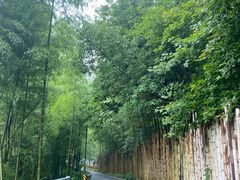 -杭州灵山景区