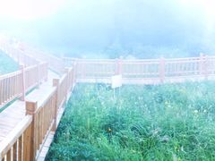 -白草畔自然风景区