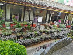 -山菌美食苑(振兴路店)
