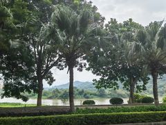 -风云岭森林公园