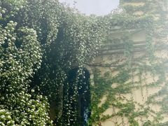 -府河摄影公园