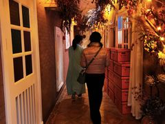 -叶叶菩提·晋福宫