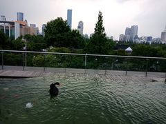 -行者书屋大堂吧 ·下午茶(南京圣和府邸酒店)