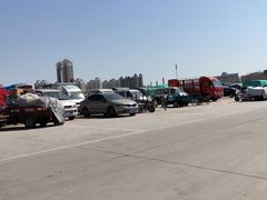 -何庄子阿米玛玛农产品批发市场