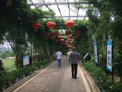 -武汉紫薇都市田园