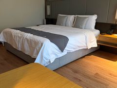 -格林东方酒店(独墅湖尹山湖郭苑路地铁站店)