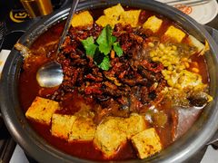 -探鱼·鲜青椒爽麻烤鱼(西南商都店)