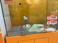 -狗道宠物(常熟印象城店)