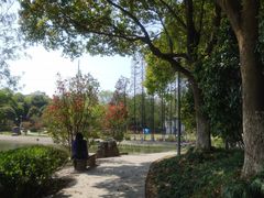 -昆山城市公园