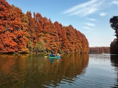 -上海海湾国家森林公园