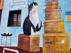 -猫咪博物馆(顶澳仔猫街店)