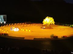 -鼎盛王朝康熙大典实景演出