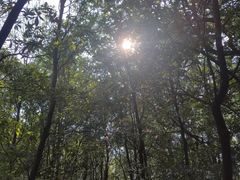 -火炉山森林公园