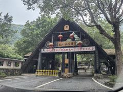 -天门沟九州驿站树上汤泉