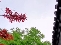 -回龙窝历史文化街区