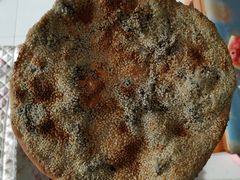 -徐记红川肉烧饼