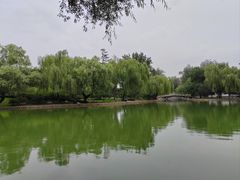 -团结湖公园