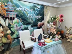 -馨月汇·独栋月子中心(朝阳店)