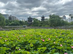 -迎泽公园