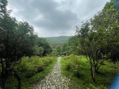 -广州市白云山风景名胜区