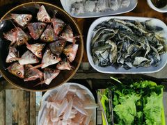 -章记正宗南岗鱼蛋火锅