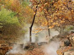 -北京西山国家森林公园