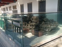 -莲池书院博物馆