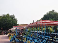 -西青郊野公园
