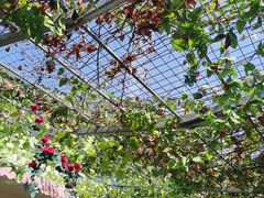 -伊隆斋(什刹海店)