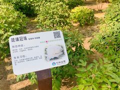 -仁和公园(顺义区)