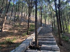 -佛慧山