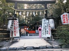 -野宫神社