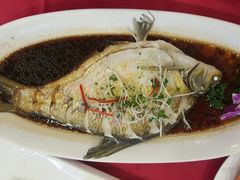 -田园小观园(武大店)