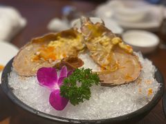 -东海怡品海鲜豆捞(舟宿夜江店)
