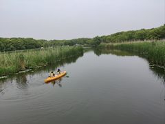 -同里国家湿地公园