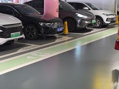 -神州租车(白云机场T1服务点)