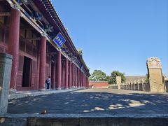 -阿凡提大盘鸡(东城墙路店)