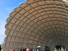 -吴淞炮台湾湿地森林公园烧烤区