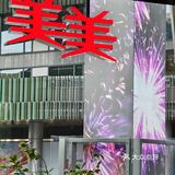 探味之旅关于美美