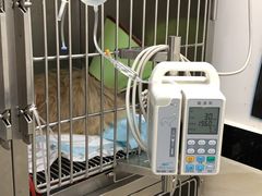 -安安宠医·安宠宠物医院