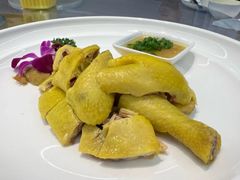 -金龙渔港(双楠店)