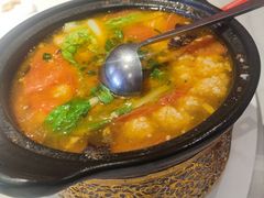 -新概念来凤鱼(璧山店)