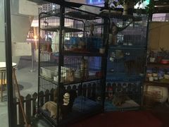-赢吧Bliss音乐酒吧