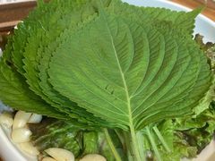 -黄金牧场(明洞总店)