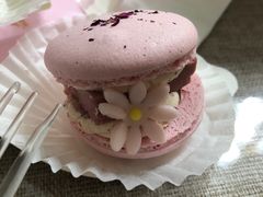 -好利来(光华中心店)