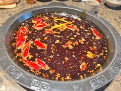 红锅-重庆渝达老火锅(春熙路店)