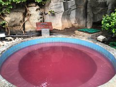 -盛泰恐龙谷温泉